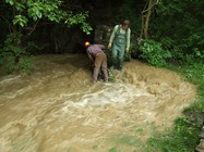 Spring of JedovnickÃ½ Creek, High water level